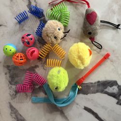 Cats Toy Variety Pack - 21 Piece