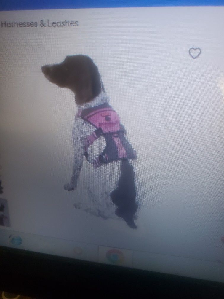 Kong Safety Dog Harness