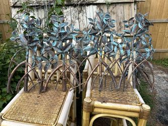 Copper Mangroves