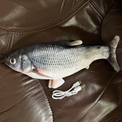 Fish Cat Toy