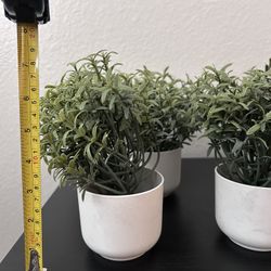 Artificial Decorative Plants 