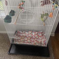 Bird Cage