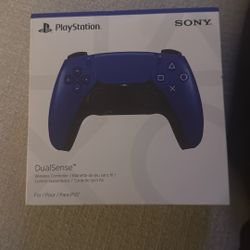 Playstation 5 Remote 