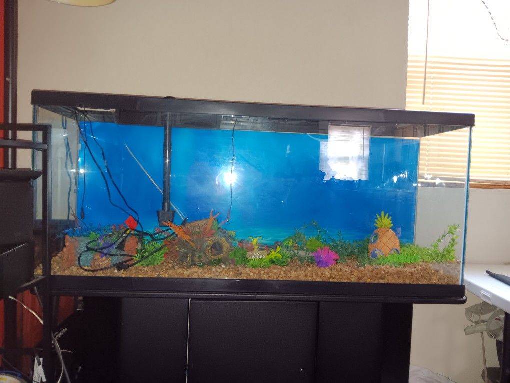 Like New 55 Gallon Aquarium Fish Tank With Modern Wood Stand In Great Condition Comes With Everything 