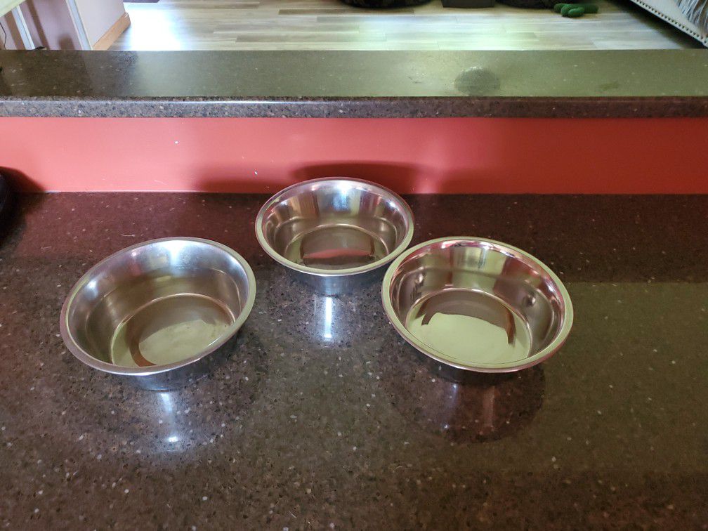 Dog Bowls