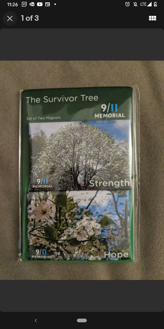 9/11 Memorial THE SURVIVOR TREE by Amy Dreher Souvenir Magnet Set,  2" x 3"