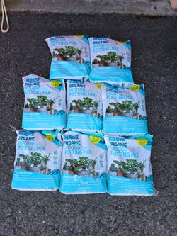 Patting soil min 8 bags