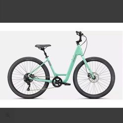 Specialized Roll 3.0 Low Entry Hybrid Bike