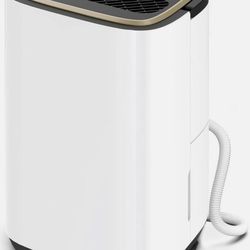 3000sq Ft Dehumidifier - DH302