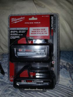 Milwaukee 2pk large batteries