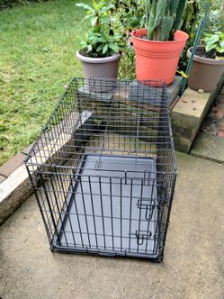 Large dog crate
