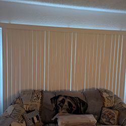Window Or Sliding Glass Door Blinds