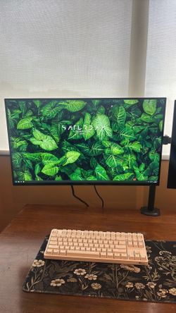 Dell Monitors