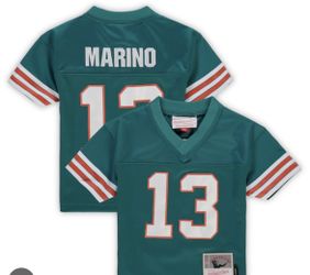 Authentic Dolphins Jersey Autographed Dan Marino