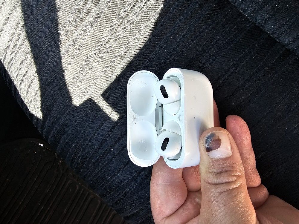 Apple Earbuds