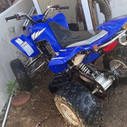2005 YAMAHA RAPTOR