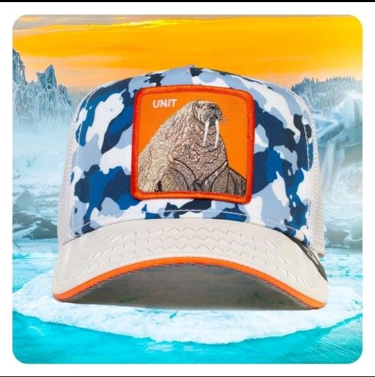 Limited Edition Goorin Bros Unit Hat