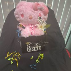 Hello Kitty Graduation 