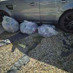 Free recycle pick up today