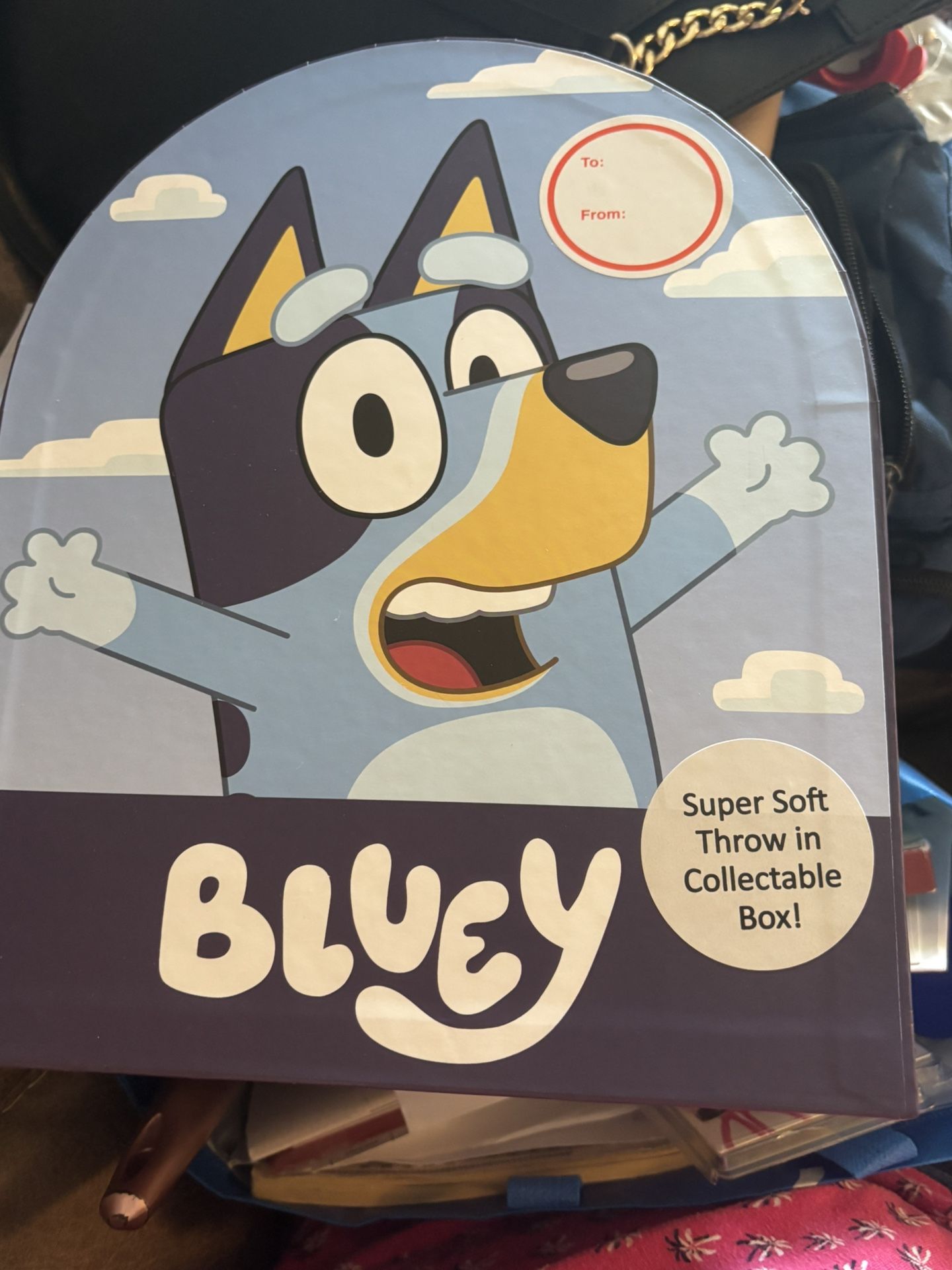 New in Gift Box Bluey Plush Throw Super Cute - Super Soft 40”x50” $12