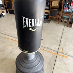 Everlast Punching Bag