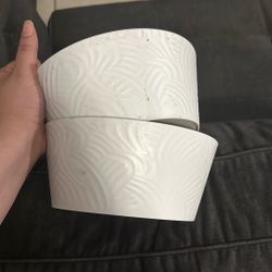 Plants Bowl