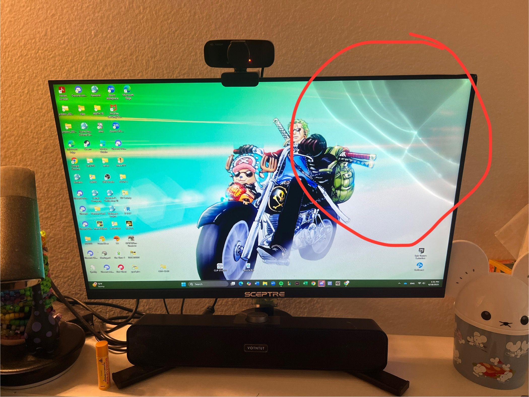 damaged monitor