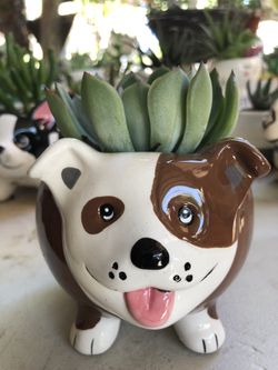 Dog Succulent Pot