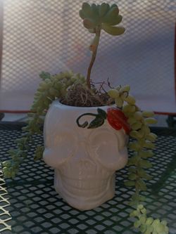 Dia De Los Muertos Mugs
