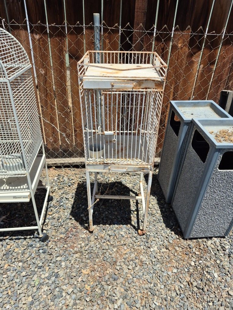 Bird Cage