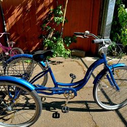 Schwinn Meridian Tricycle 