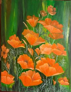 Orange poppies