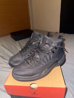 Jordan 12 winterized