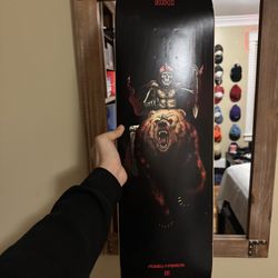Skate Deck Never Used