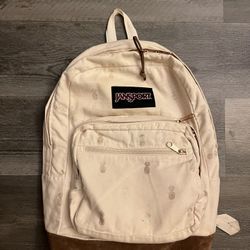 Backpack  ( Great Condition ) 