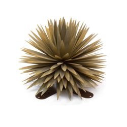 Yucca Sculpture By Desert 