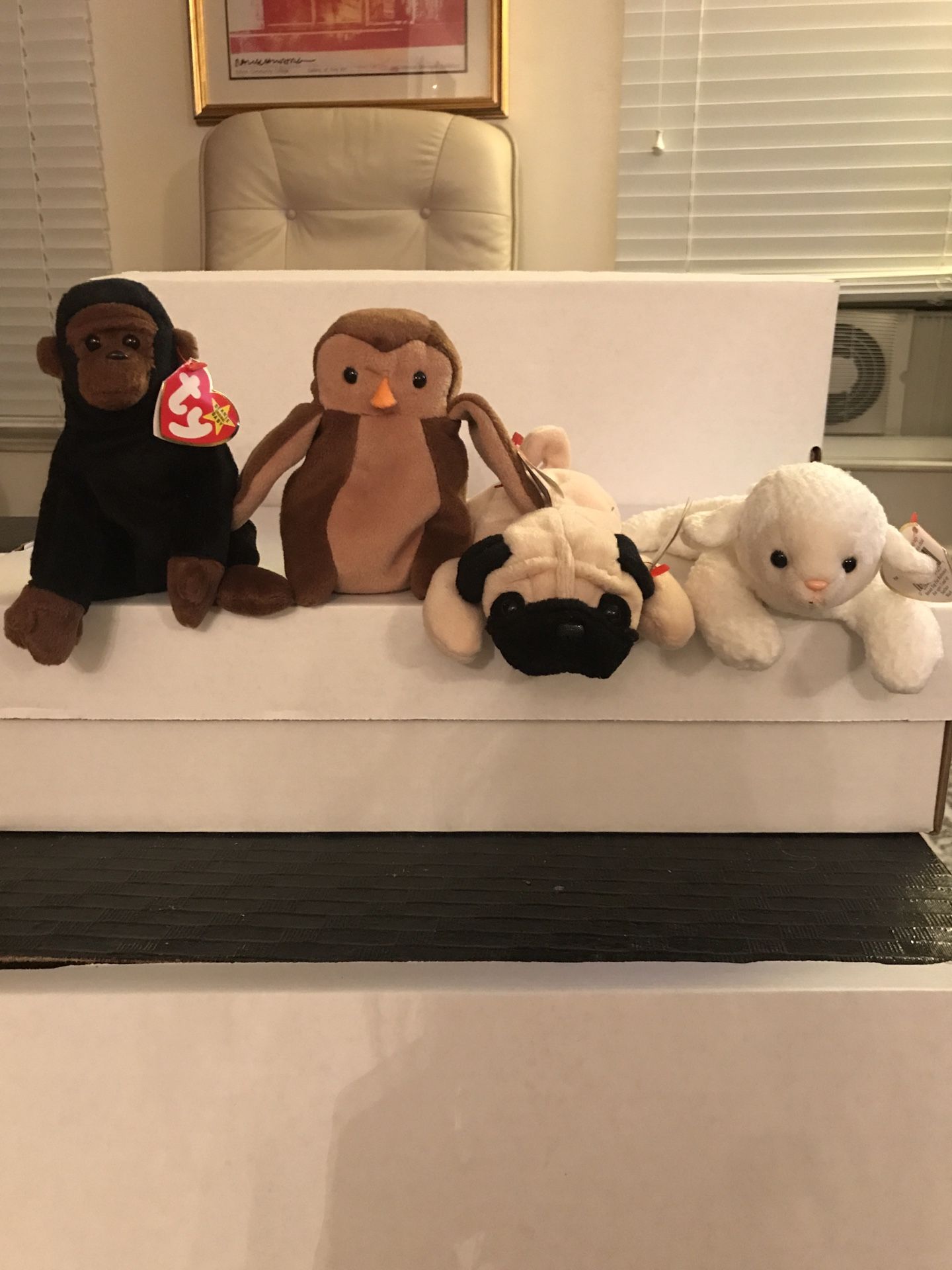 55 beanie babies 1995 chocolate the moose, legs and more! Rare? *read*