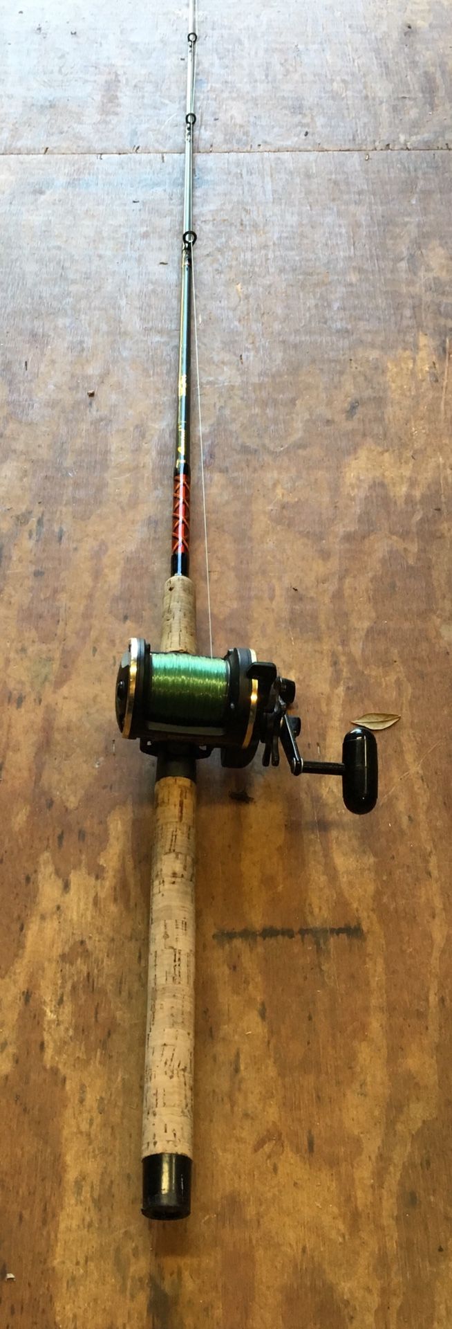 Fishing Rod - Daiwa SL30SH with Aerial Rod