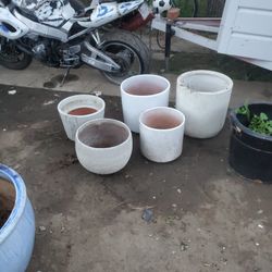 Plant Pots 