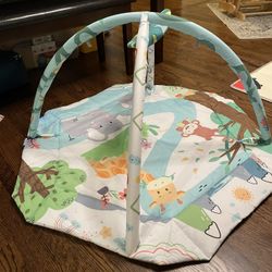 Infant Gym (large Size)