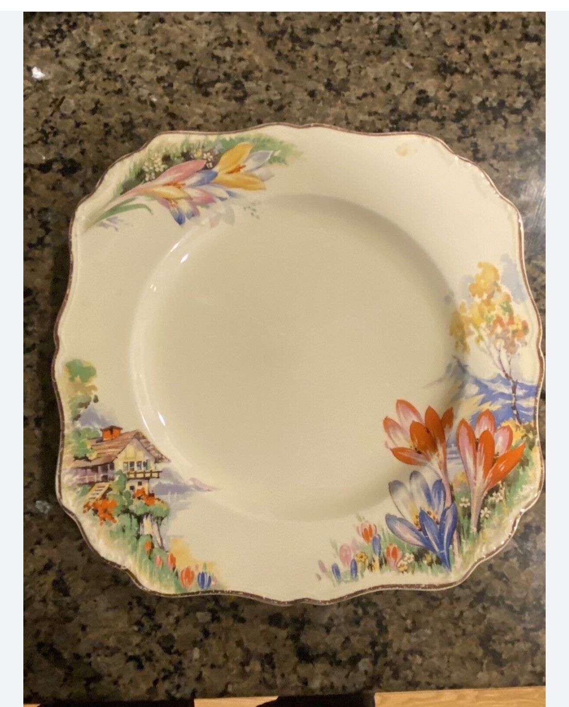 J & G Meakin Sunshine Autumn Crocus Dinner Plate 8.5" Vintage Square