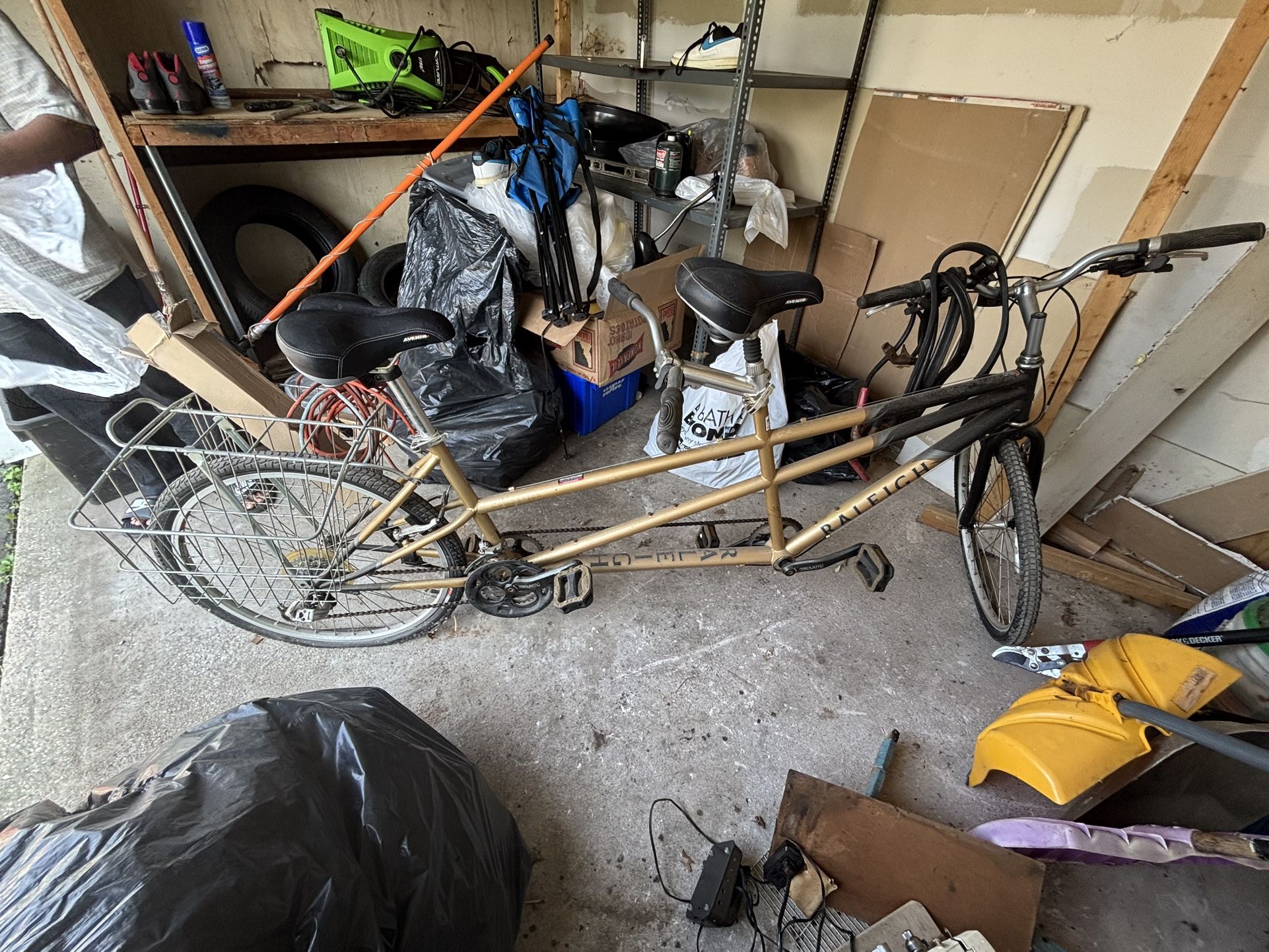 Raleigh 2 Seated Bicycle With Carriage