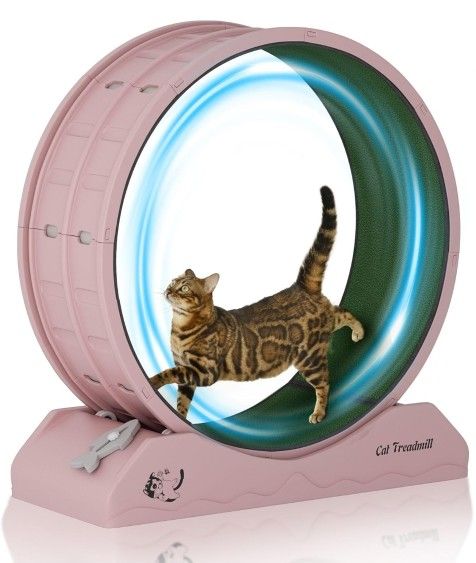 Dausola Cat Treadmil, Unused, Basically New