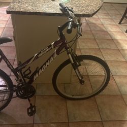 Barley Used Bike
