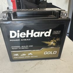 New Diehard Gold battery