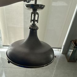 Ceiling Pendant Lamps (2)