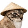 The Cat Man