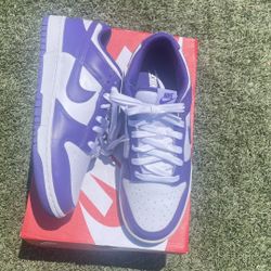 Nike Dunks Championship Purple