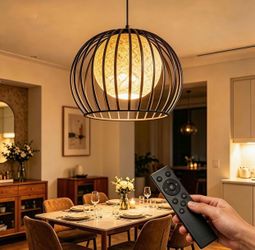 Cage Pendant Light with Remote