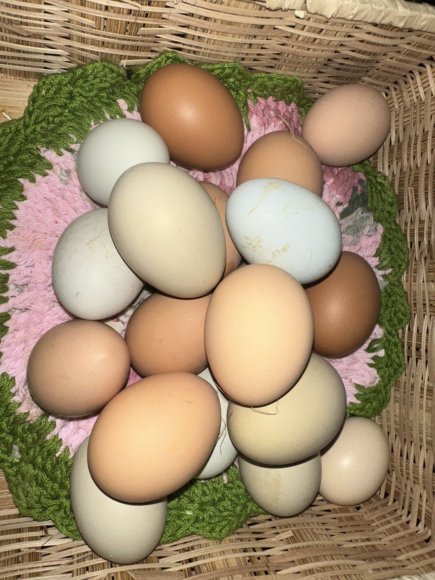 12 Hatching Eggs Only 